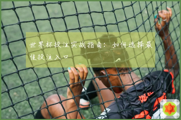 世界杯投注实战指南：如何选择最佳投注入口