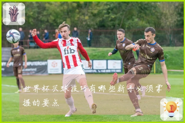 世界杯买球技巧有哪些新手必须掌握的要点