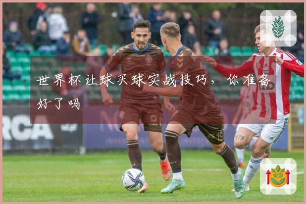 世界杯让球买球实战技巧，你准备好了吗