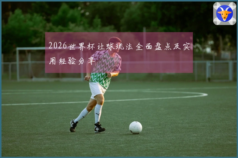2026世界杯让球玩法全面盘点及实用经验分享