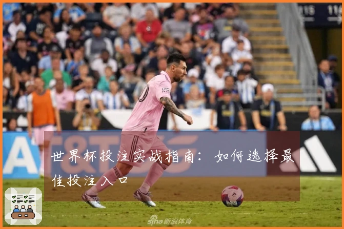 世界杯投注实战指南：如何选择最佳投注入口